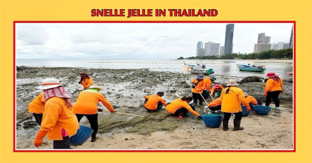 Pattaya neemt veiligheidsmaatregelen op “varkensbaai” in het Tambon Naklua om toeristen nu en in de toekomst beter te beschermen.