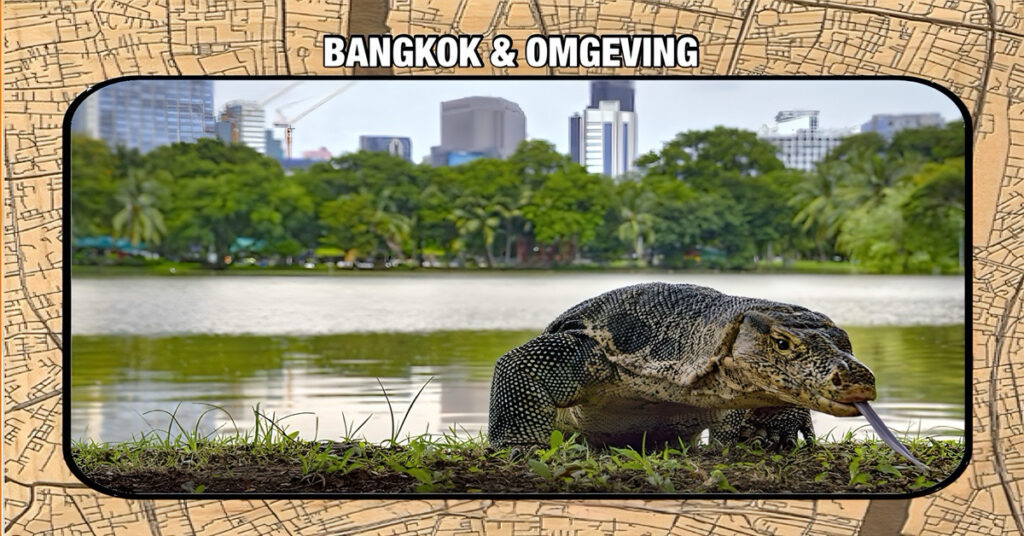 🎥 | De hoofdstad van Thailand ziet steeds meer dinosaurusachtig monsters, de “Godzilla’s” van deze tijd nemen in snel tempo toe