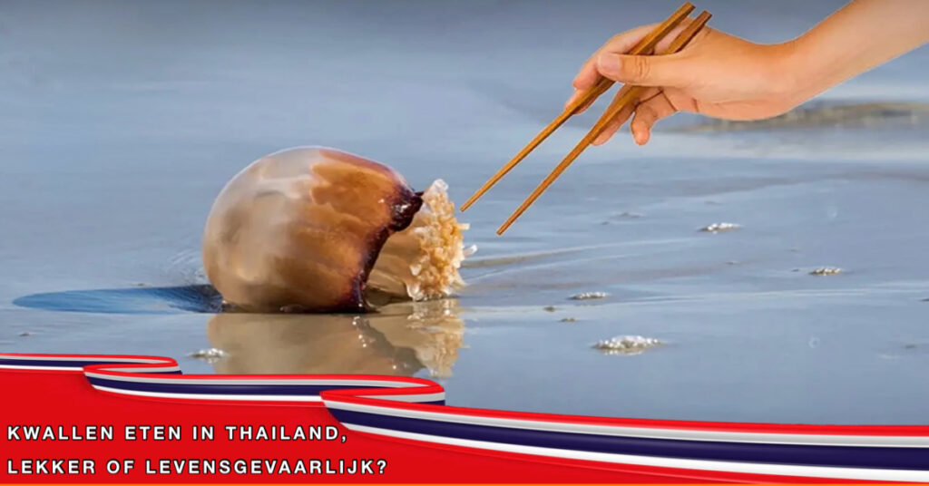 Het eten van kwallen in Thailand kan risico’s met zich meebrengen, aldus de Thaise gezondheidsdienst.
