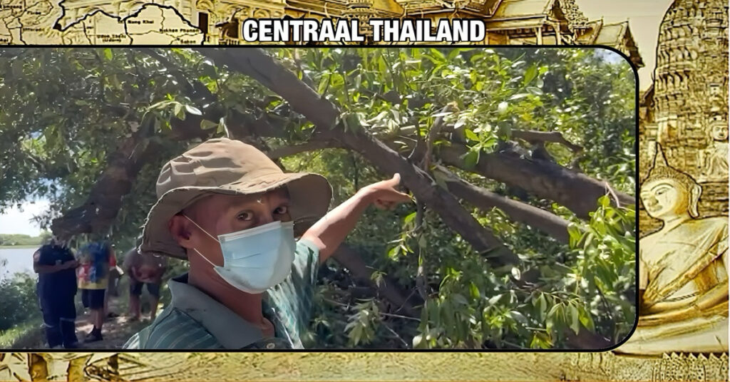 Een gewone snoeidag in Centraal-Thailand eindigde voor een Thaise man in een ramp na een “simpele” mierenbeet.