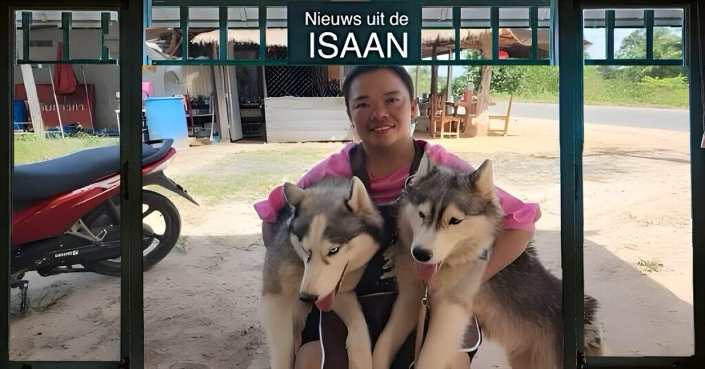 Eigenaresse van twee huskies in Noordoost-Thailand zoekt te midden van grensspanningen, een nieuw tehuis voor haar lieverds 