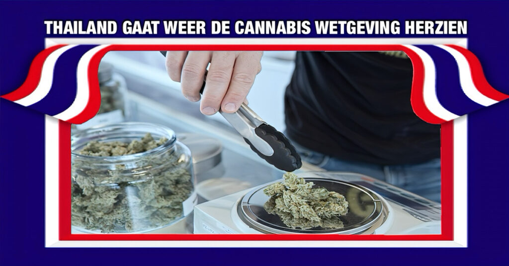 Thailand overweegt de regels rondom cannabis opnieuw te evalueren, omdat er aanzienlijke zorgen bestaan over dit “kruidje roer me niet”.