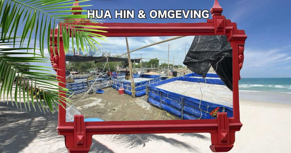 Pas geopende kwallen winkel in Prachuap Khiri Khan zorgt voor stank en boze omwonenden 