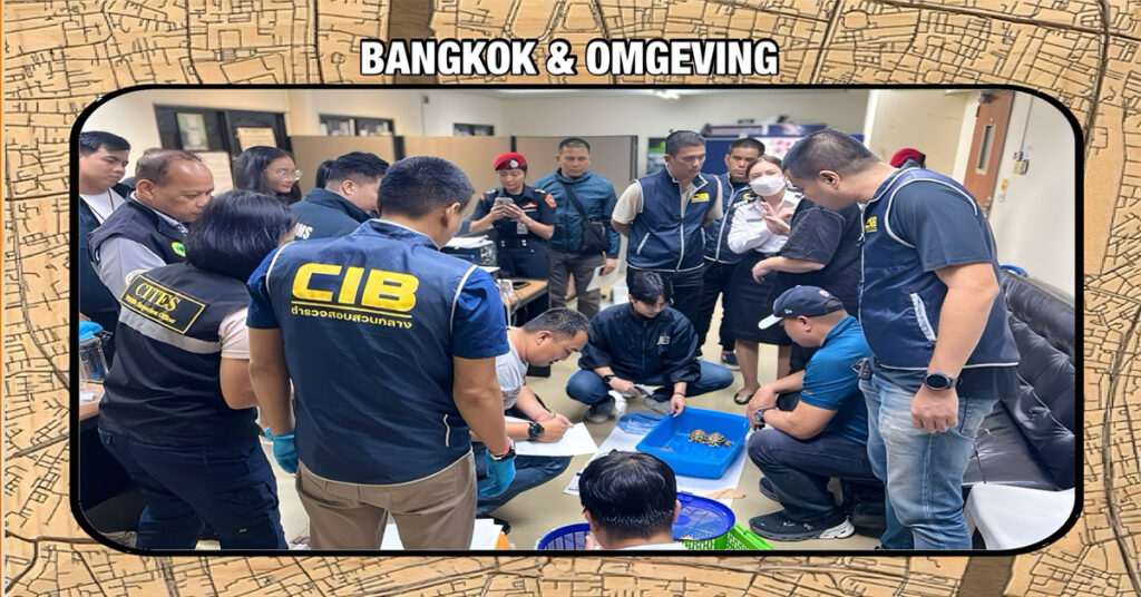 Drie Taiwanese mannen zijn op de luchthaven Don Mueang in Thailand aangehouden voor de smokkel van 52 zeldzame dieren.