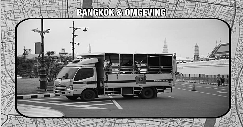 Politie in Thailand haalt de paarden “Alice” en “Stew” van stal om voor het Koninklijk Paleis in Bangkok de veiligheid te waarborgen 