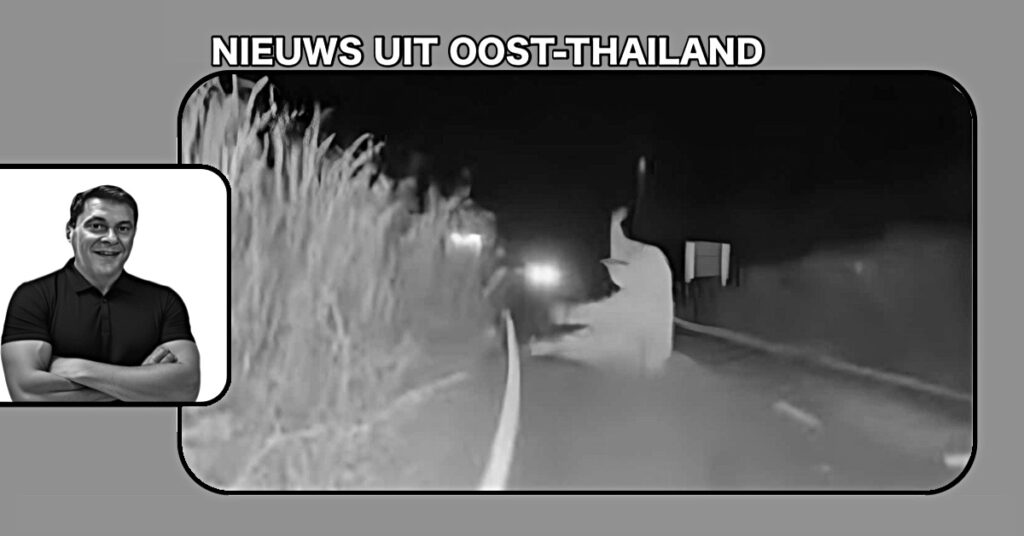 Olifant en ambulance botsen in Oost-Thailand de geschrokken olifant vlucht het bos in
