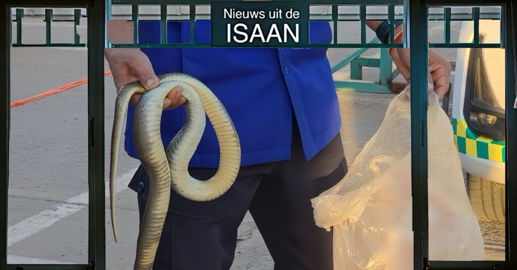 Visser in Noordoost-Thailand aan zijn ogen gewond geraakt door een spuwende cobra