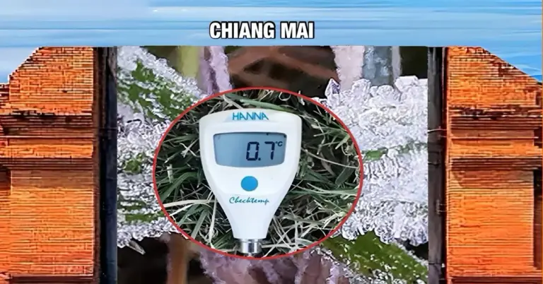 Koning Winter heeft zich vandaag in Noord-Thailand aangediend met een temperatuur van 0,7° Celsius.