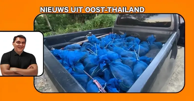 Bende smokkelaars dacht slim te zijn door 81 makaken de grens van Oost-Thailand over te krijgen, maar dat liep even anders dan gepland
