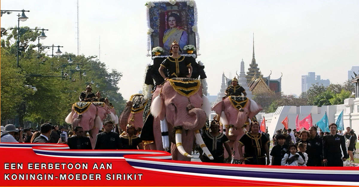 Een processie van elf roze olifanten heeft gisteren in Bangkok hulde gebracht aan de overleden koningin-moeder Sirikit van Thailand