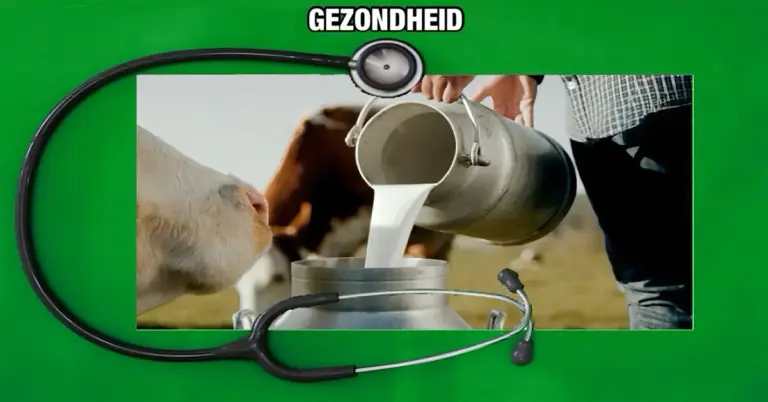 Het Ministerie van Veeteelt in Thailand verzekert een ieder dat elke slok verse melk veilig en gezond is.