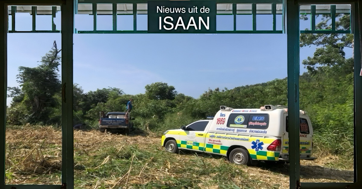 Gaur valt twee dorpelingen nabij Khao Phu Luang in Noordoost-Thailand aan
