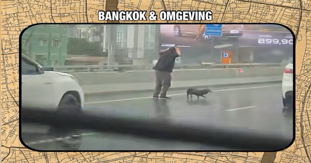 Olleke Bolleke in Thailand las het hartverwarmende verhaal van een dierenvriend in Bangkok
