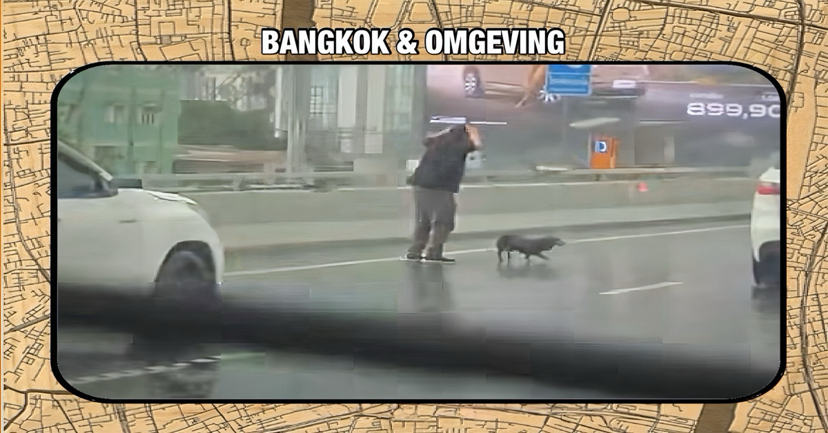 Olleke Bolleke in Thailand las het hartverwarmende verhaal van een dierenvriend in Bangkok