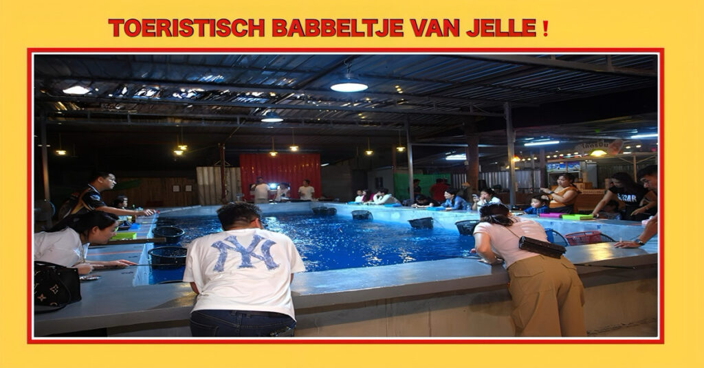 Klaar voor een garnalenavontuur in Pattaya? In Soi Khao Noi kun je het allemaal beleven!