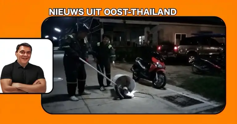 Thaise man redt kat uit klauwen van reusachtige python in Oost-Thailand!