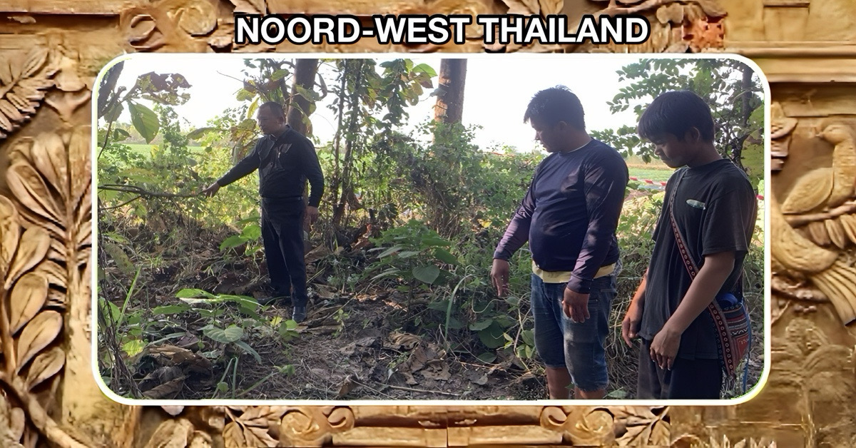 Huisvader van vijf tieners in Noordwest-Thailand door pitbulls doodgebeten, hondeneigenaar biedt geen compensatie!