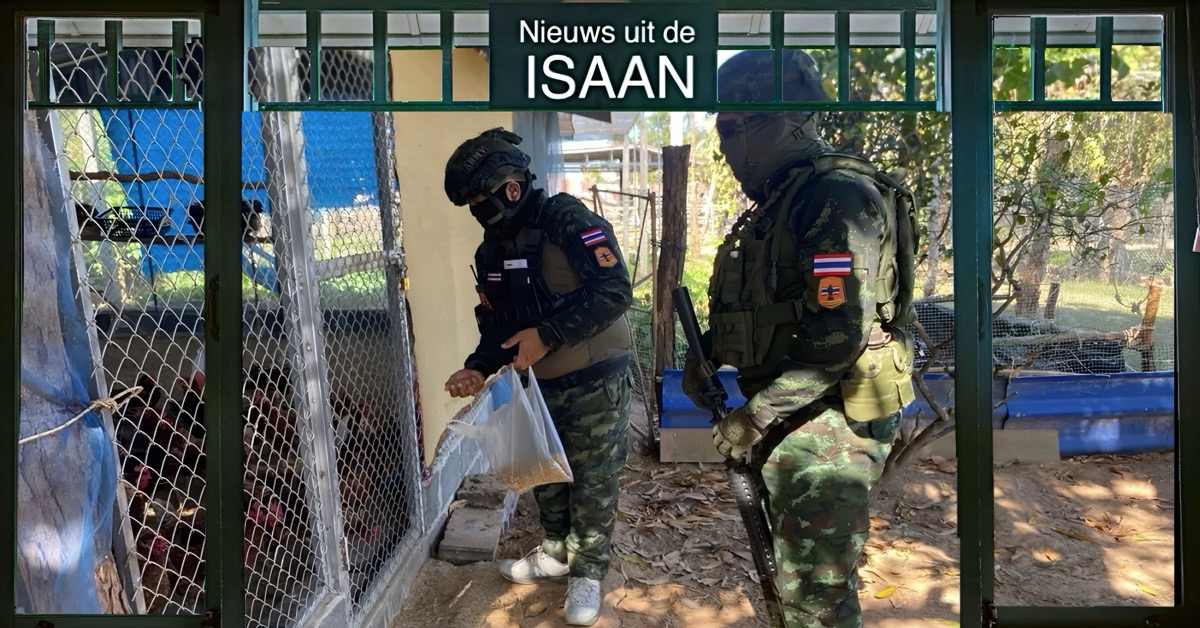 Soldaten zorgen voor de achtergelaten dieren en de groentetuintjes in Noordoost-Thailand