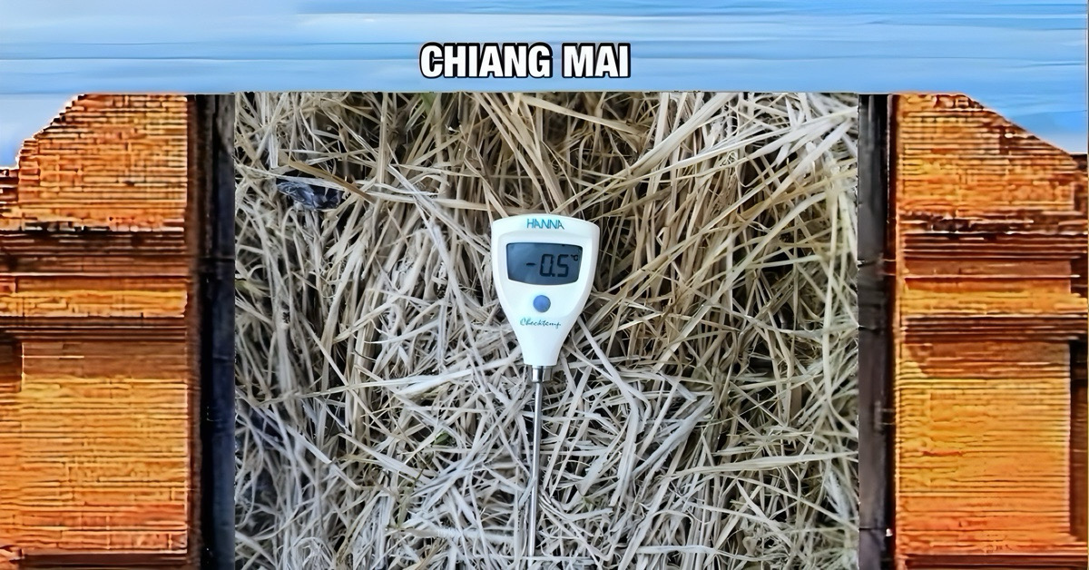 Rijp bedekt de top van Doi Inthanon. Tot nu toe zijn er elf dagen met vorst en temperaturen onder nul geregistreerd op de bergtoppen van Thailand.