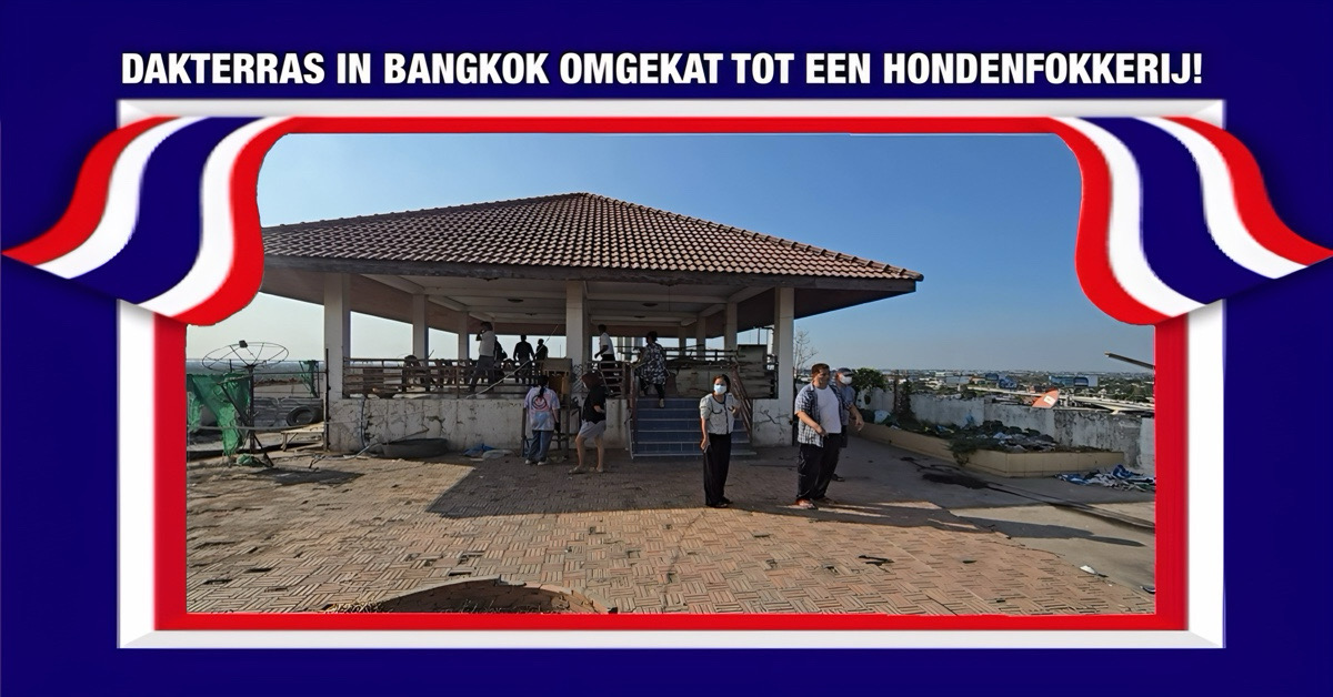 Bewoners van flat in Bangkok zijn woest, oude manager haalde het in zijn hoofd om het dakterras om te bouwen tot een hondenfokkerij