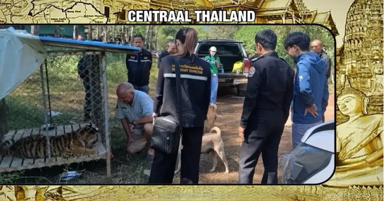 De Nederlander Edwin Wiek, oprichter van de Wildlife Friends Foundation Thailand ontkent beschuldigingen van dierenhandel