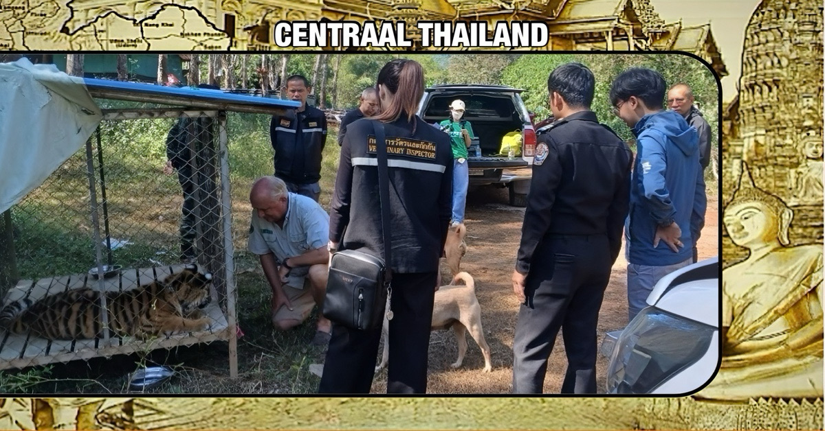 De Nederlander Edwin Wiek, oprichter van de Wildlife Friends Foundation Thailand ontkent beschuldigingen van dierenhandel