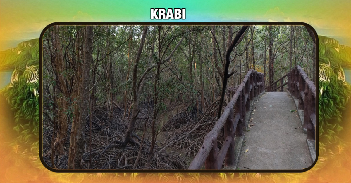Het mangrove bos van Krabi in Zuid-Thailand stelt met directe ingang nieuwe regels in en verlangen een kleine bijdrage