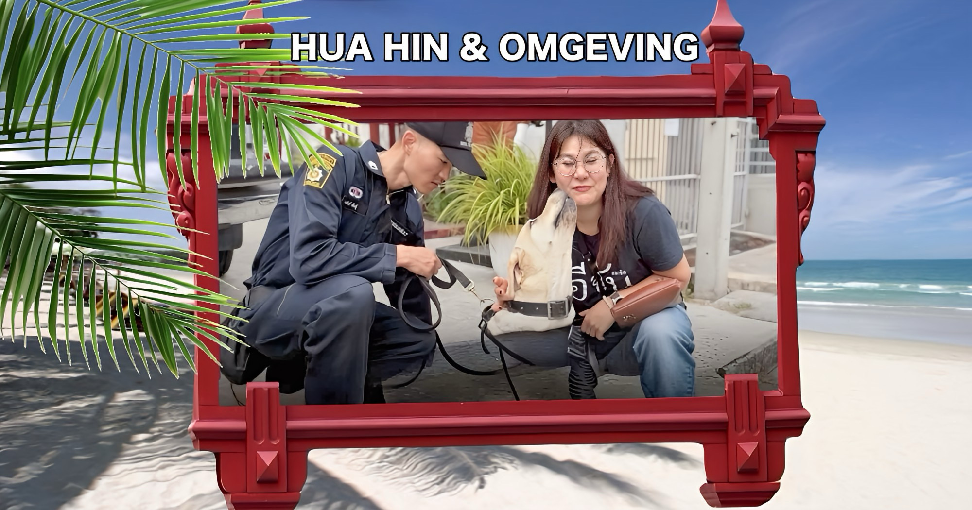 Een extra koekje voor de speurhond Praewa na de succesvolle arrestatie in Hua Hin!