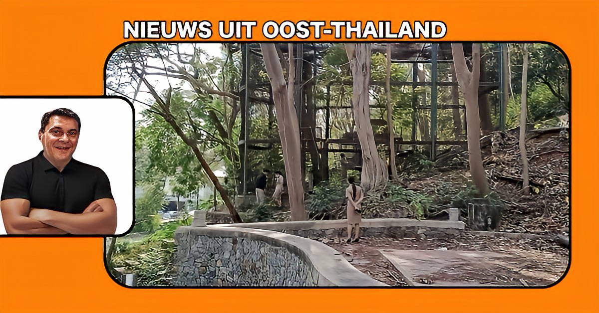 In het oosten van Thailand kampt het stad Sri Racha met apenoverlast en besluit dit rigoureus aan te pakken.