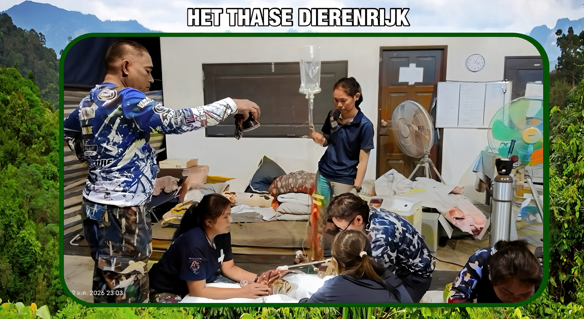 Thailand is verdrietig om het verlies van Khao Tom, een jong olifantenkalf dat ondanks maandenlange zorg is overleden aan leverproblemen.