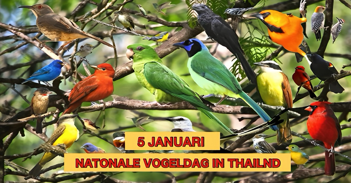 Vandaag 5 januari wordt in Thailand nationale vogeldag herdacht 