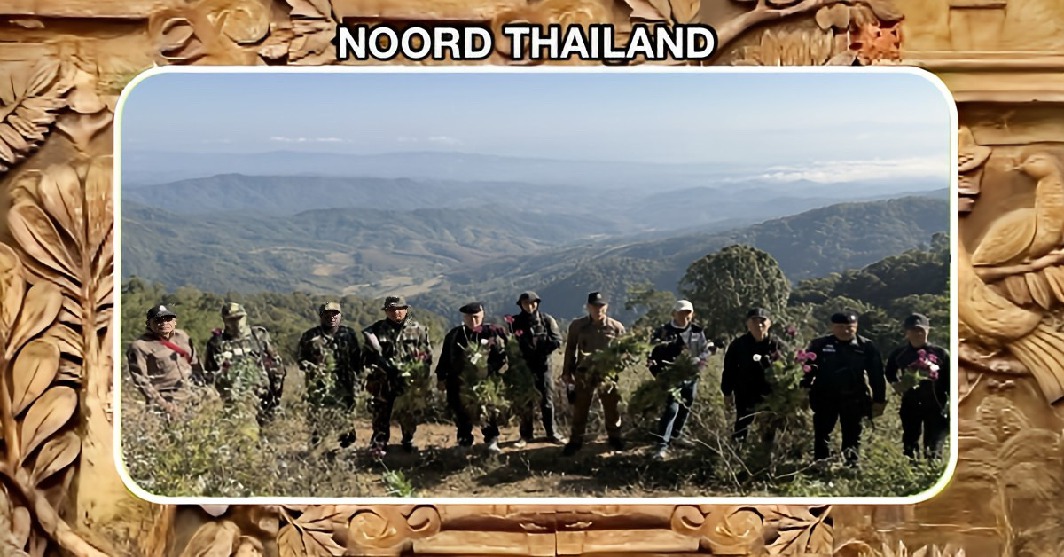 Het ONCB ontmantelde 27 papavervelden in Noord-Thailand ter waarde van 5,4 miljoen baht