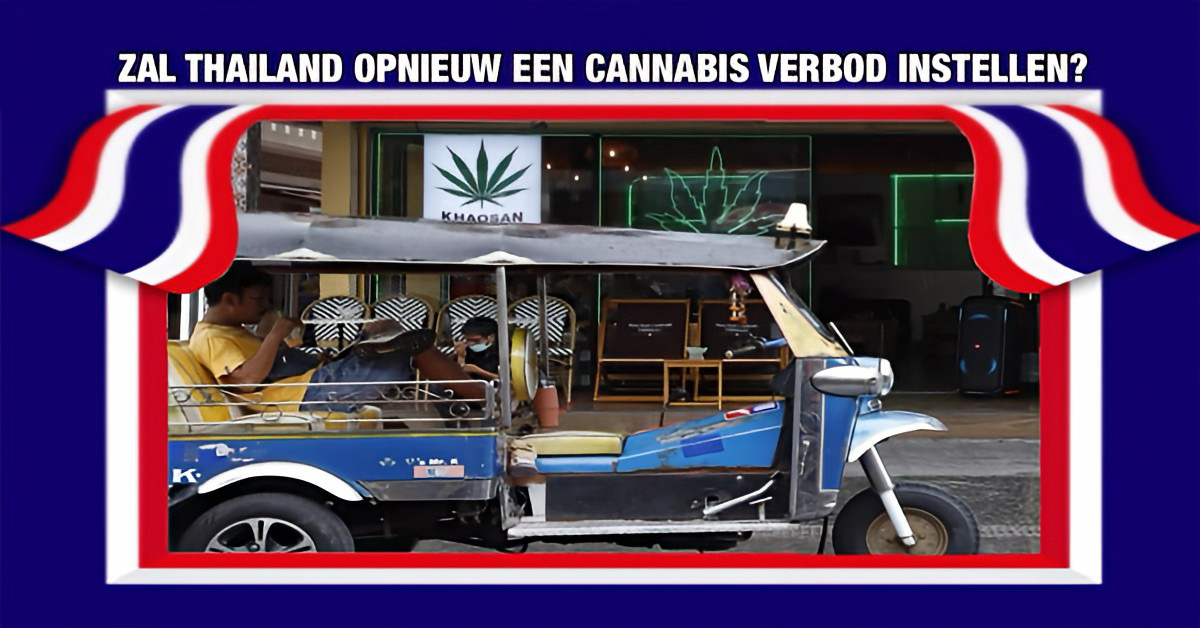 Politieke partijen in Thailand overwegen verbod op cannabis