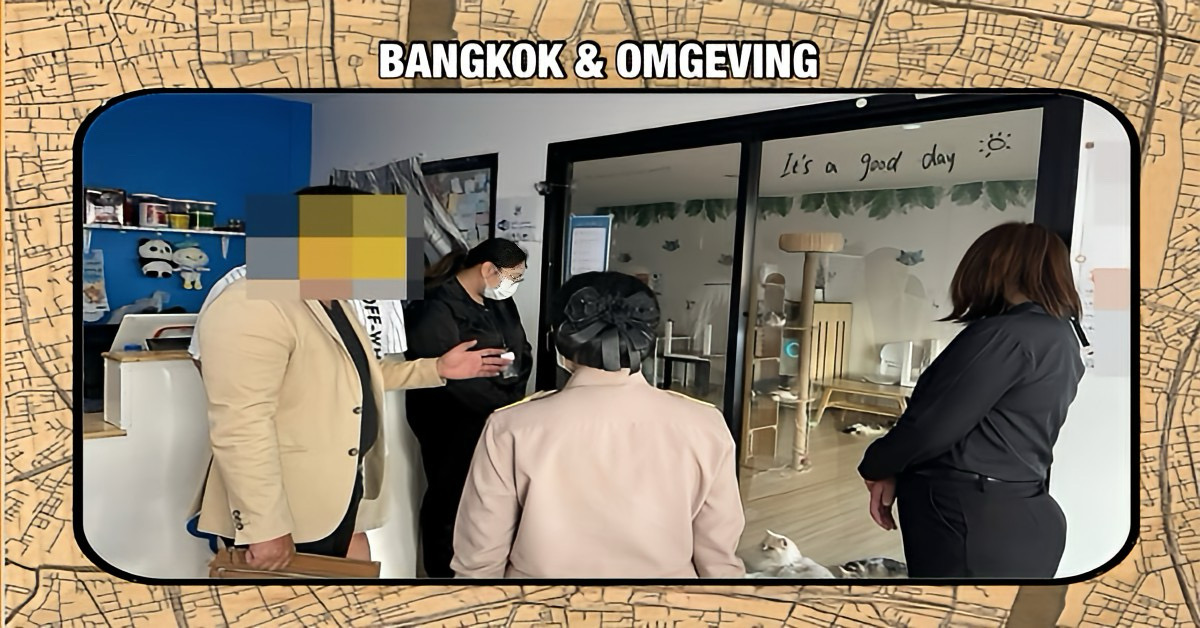 Eigenaar van een katten-café in Bangkok ontmaskert als kattenmepper, het café is direct op slot gegooid