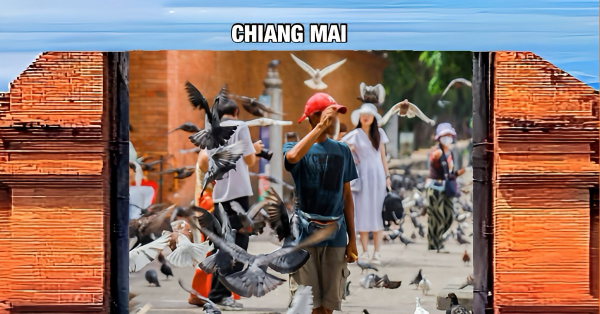 De toeristische attractie de “Tha Phae Gate” in Chiang Mai is weer bevolkt door duivenvoer verkopers, de zorgen over de hygiëne neemt toe