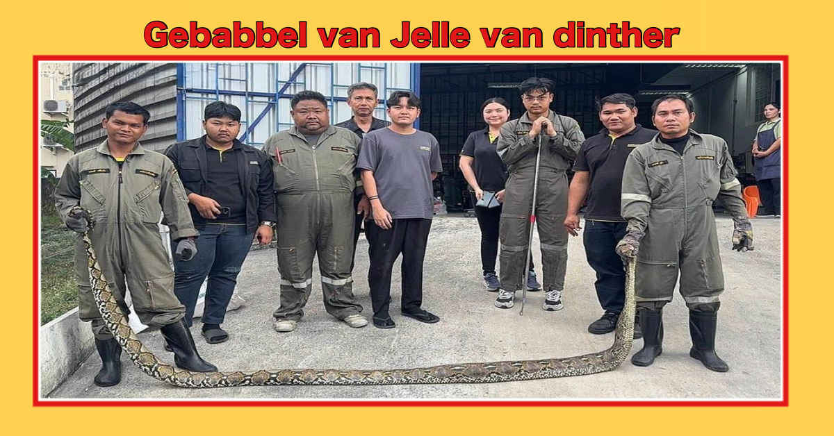 Zes meter lange vluchteling komt in Pattaya Oost te verdrinken