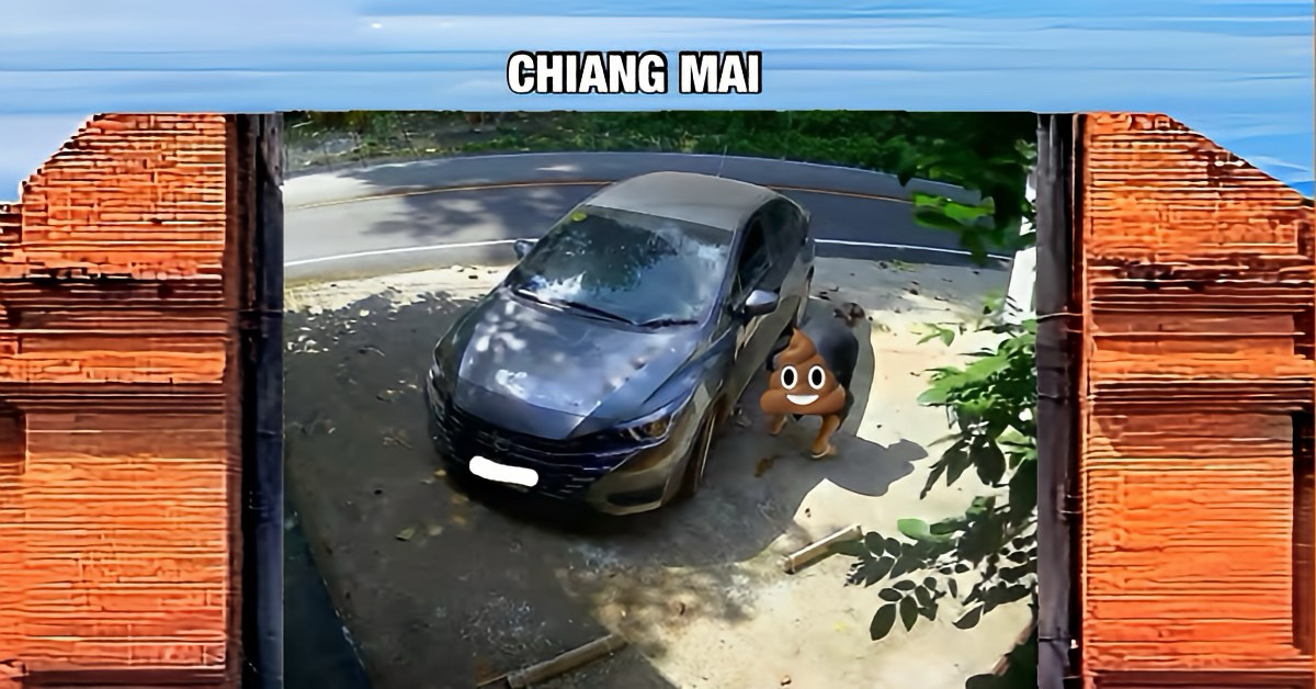 Hotel in Noord-Thailand hekelt “Piet Verklep” die op parkeerplaats een 💩 draaide en dreigt hem bij de politie aan te geven