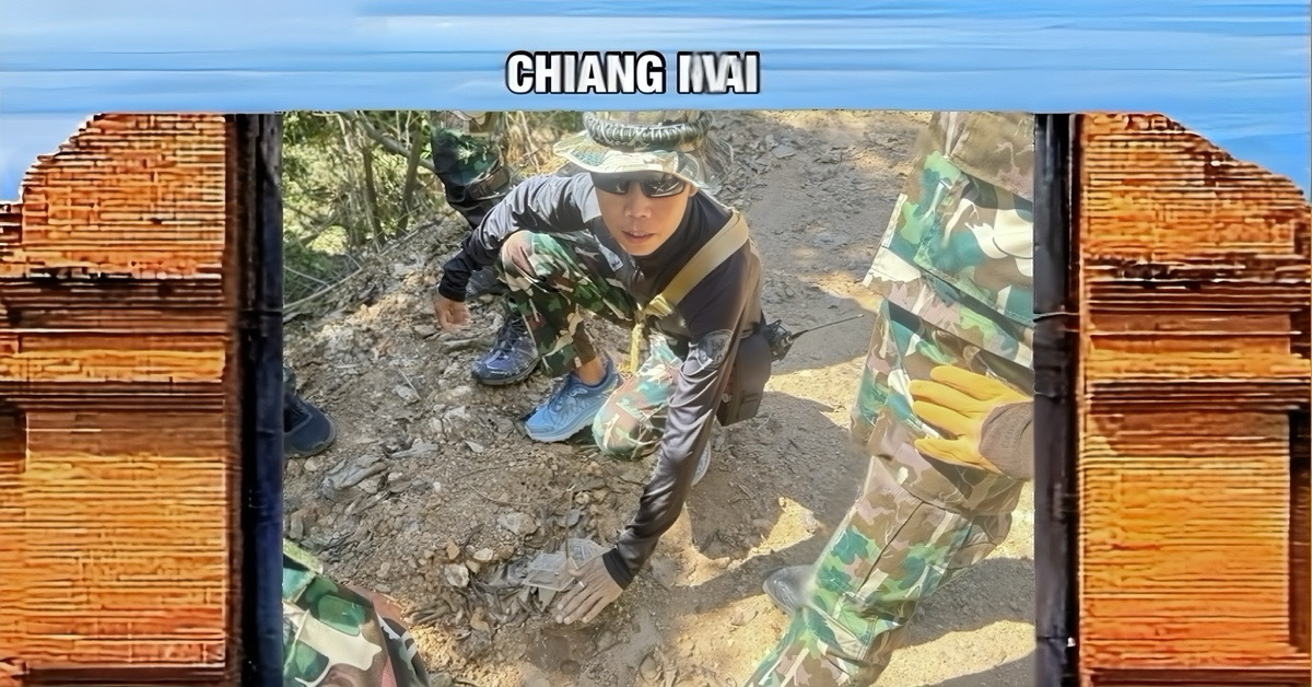 Angst regeert in Noord-Thailand nadat er duidelijke sporen van tijgers in de bossen van Chiang Mai zijn gezien