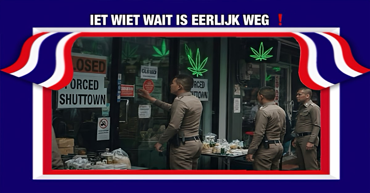 Het “wilde oogsten” in Thailand is niet langer het wilde westen van de cannabismarkt.