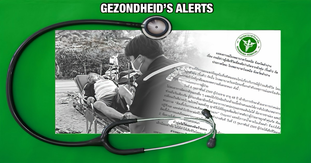 Zwarte vliegen waarschijnlijk niet directe oorzaak van dood 68‑jarige man in Noord-Thailand 