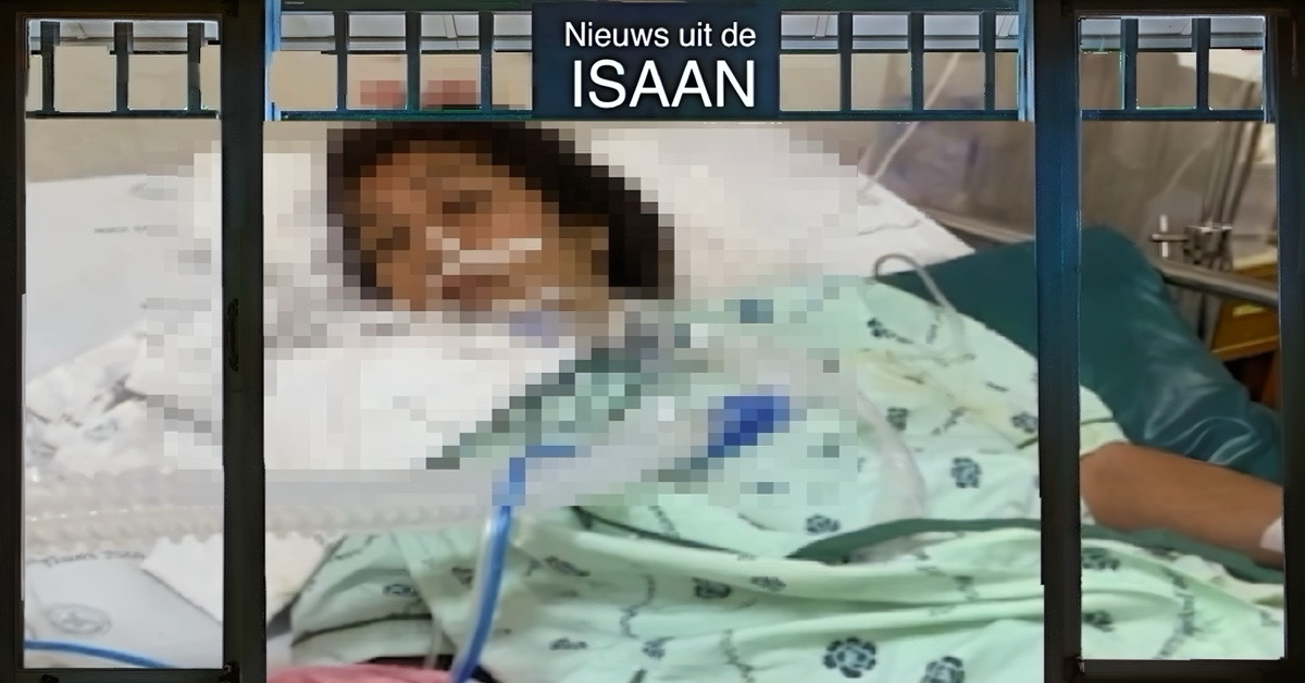 Vrouw komt op intensive care van een ziekenhuis in Noordoost-Thailand terecht na het eten van hoefijzer-crab eiersalade.