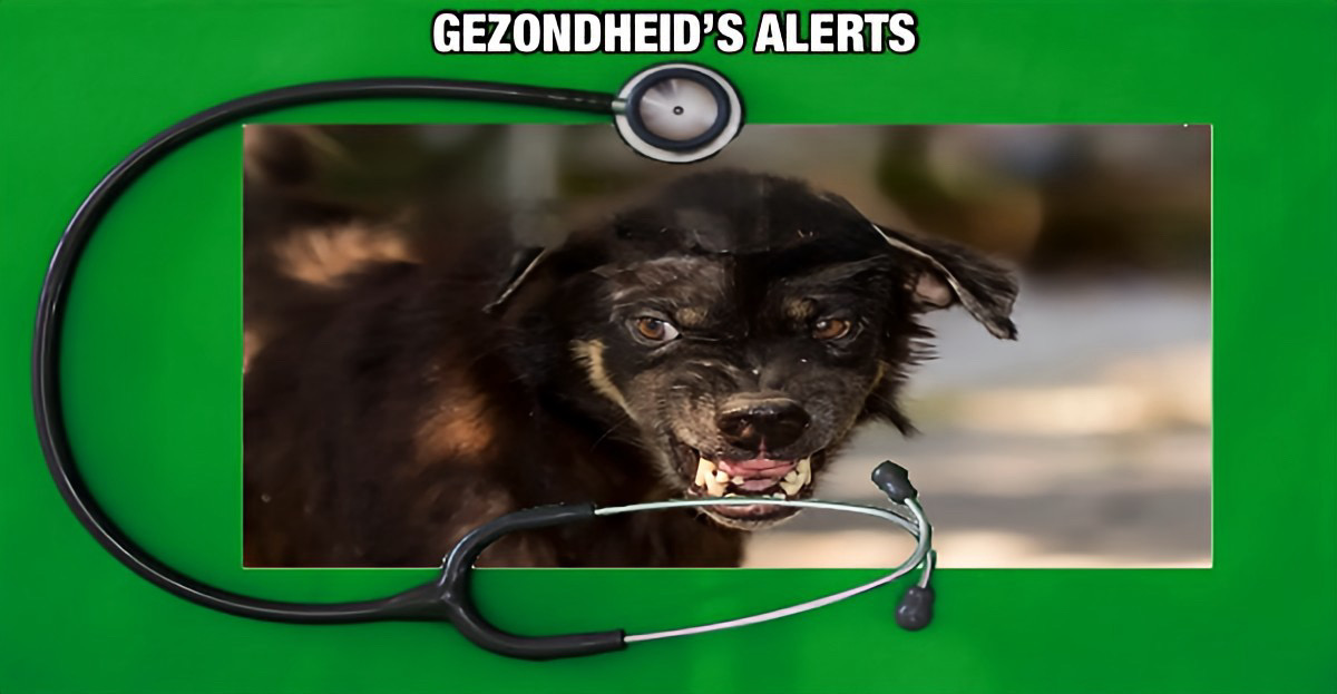 Eerste dodelijke rabiësgeval 2026 in Thailand na onbehandelde puppybeet