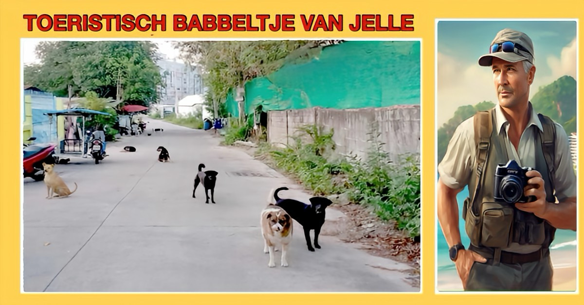 Let op: Hondsdolheid in Pattaya!, lees dit als je er bent of daarheen gaat.