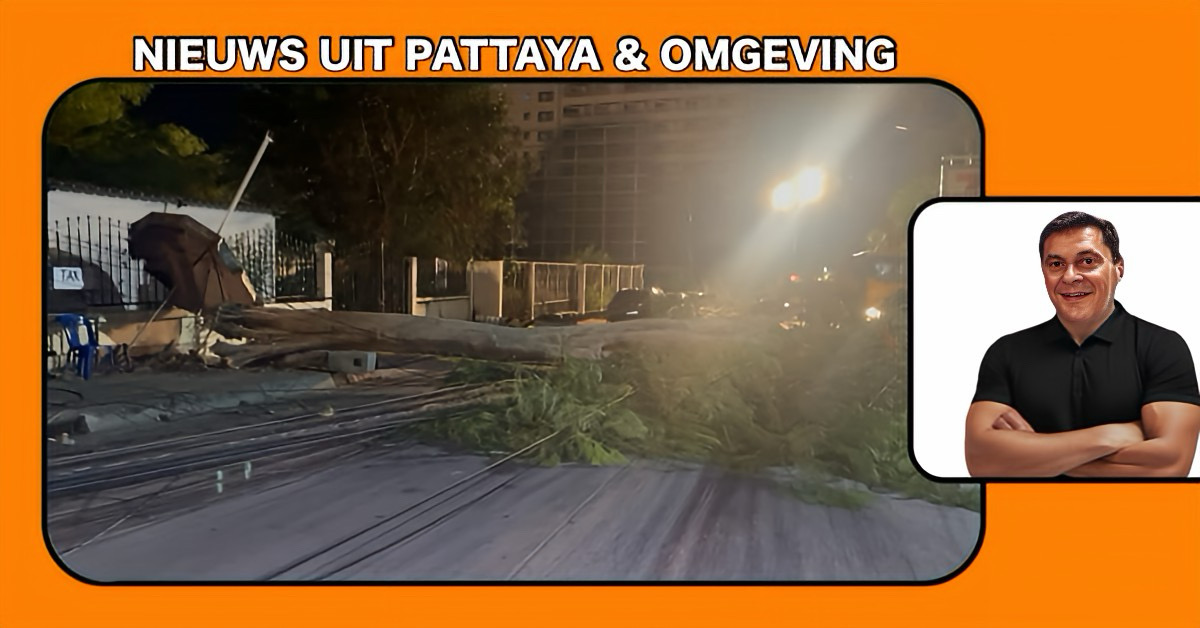 Grote boom begeeft het in Pattaya, en trok tientallen elektriciteitspalen mee, het gebied Pratumnak kwam zonder stroom te zitten.