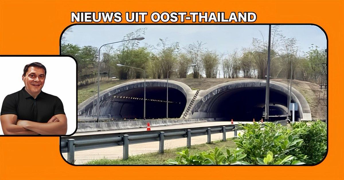 Het ecoduct over snelweg 304 blijkt een mijlpaal voor natuurbehoud en verkeersveiligheid in Thailand.