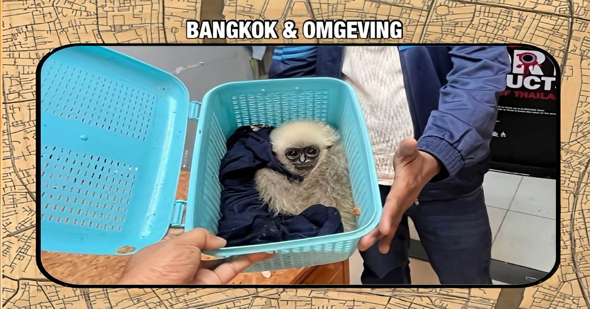 Indiase reiziger op Suvarnabhumi Airport betrapt bij poging tot smokkel van 15 levende wilde dieren, meldt de douanedienst van Thailand.