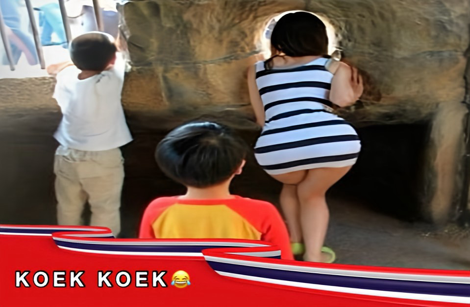 Wilfred Genee en John de Bever over hun single ‘Koekoek’: zal deze hoogstaande muziek ook in Thailand aanslaan?