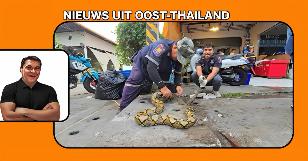 Reddingsdienst in Oost-Thailand gaat aan de slag met “duw en trekwerk” om een drie meter lange python uit een afvoerpijp te bevrijden