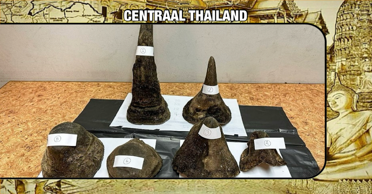 Vietnamees op Suvarnabhumi Airport de “sjaak” voor de smokkel van neushoorn hoorns