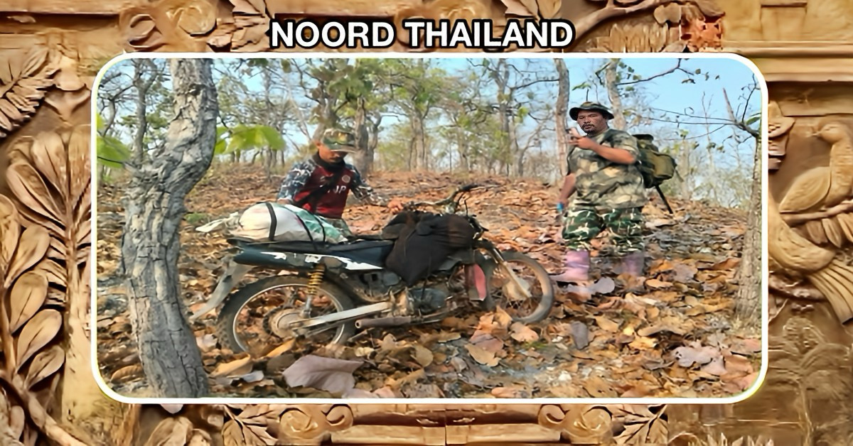 In Noord-Thailand stuiten boswachters op een ongekend dierenleed